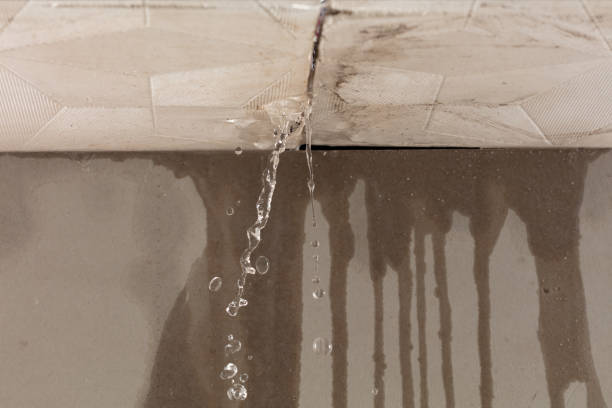 Professional Water Damage Inspection technician working in Lake Park, IA